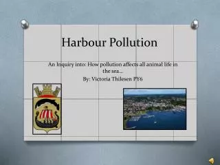 Harbour Pollution