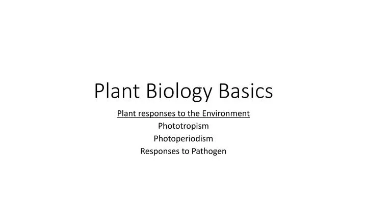 plant biology basics