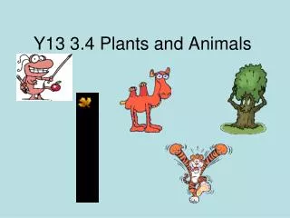 Y13 3.4 Plants and Animals