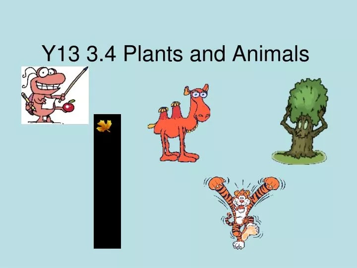 y13 3 4 plants and animals