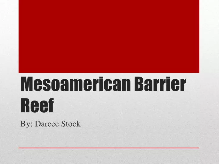 mesoamerican barrier r eef