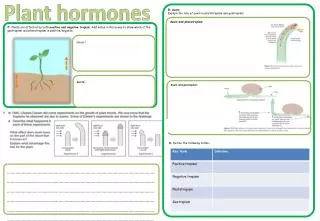 Plant hormones