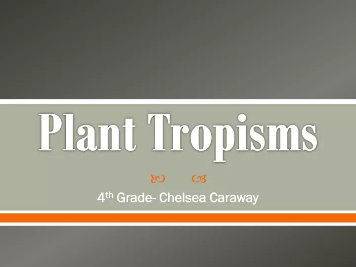 plant tropisms