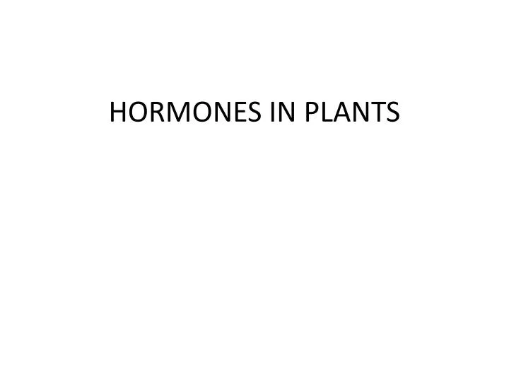 hormones in plants