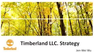 Timberland LLC. Strategy