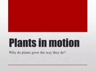 Plants in motion