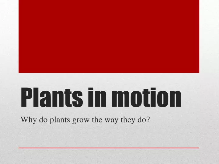 plants in motion
