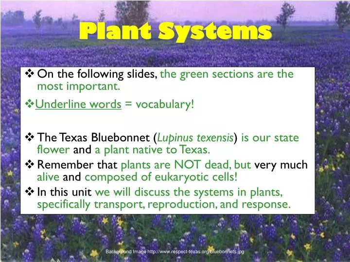plant systems