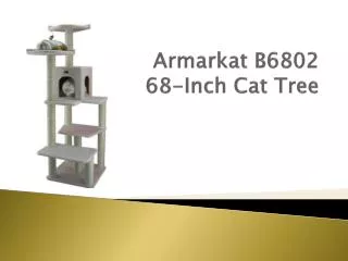 Armarkat B6802 68-Inch Cat Tree