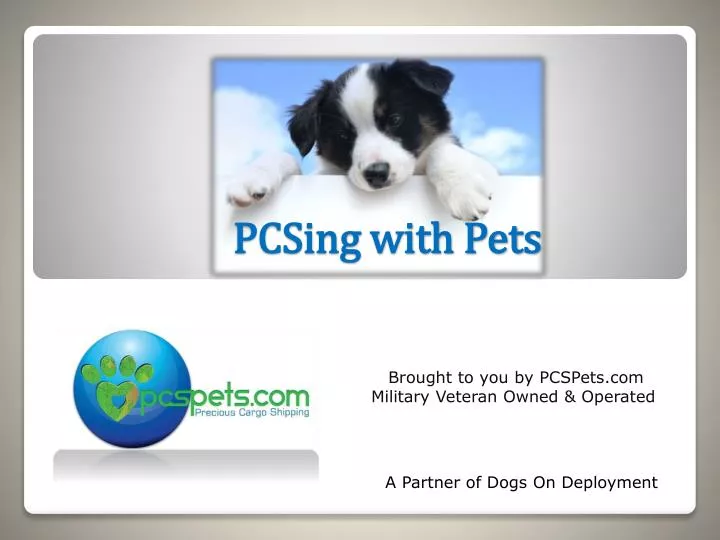 pcsing with pets