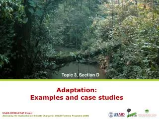 Adaptation: Examples and case studies