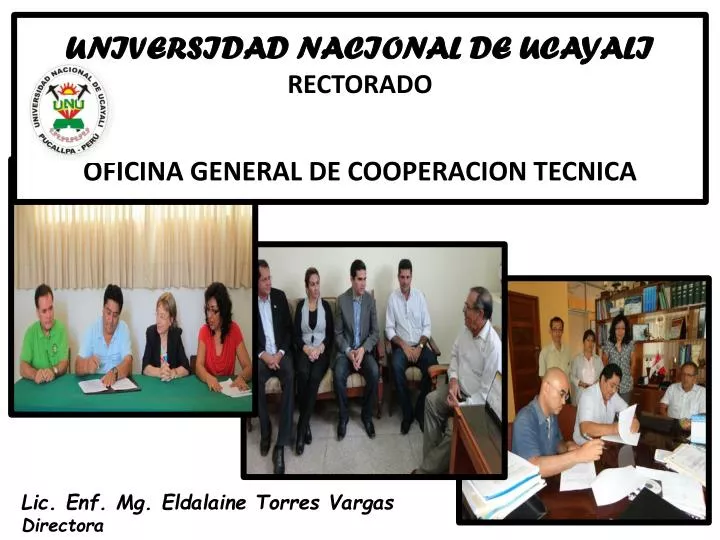 universidad nacional de ucayali rectorado oficina general de cooperacion tecnica