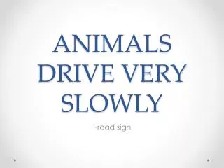 ANIMALS DRIVE VERY SLOWLY