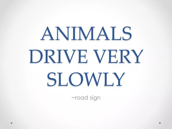 animals drive very slowly