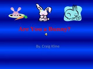 Are You a B unny ?