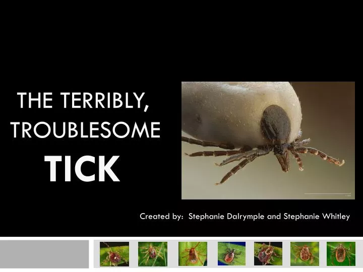 the terribly troublesome tick