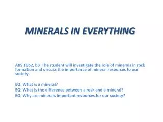 MINERALS IN EVERYTHING