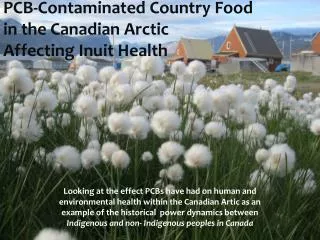 PCB-Contaminated Country Food in the Canadian Arctic Affecting Inuit Health