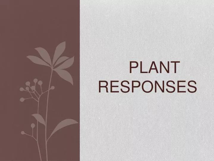 plant responses