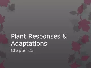 Plant Responses &amp; Adaptations