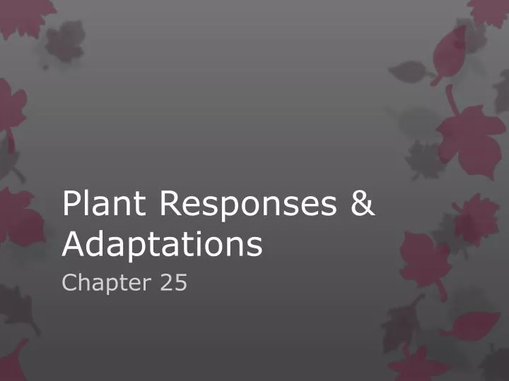 plant responses adaptations