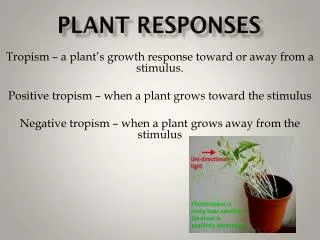 Plant responses