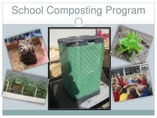 School Composting Program