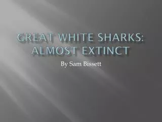 Great White Sharks: Almost Extinct