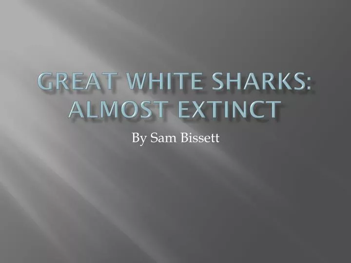 great white sharks almost extinct
