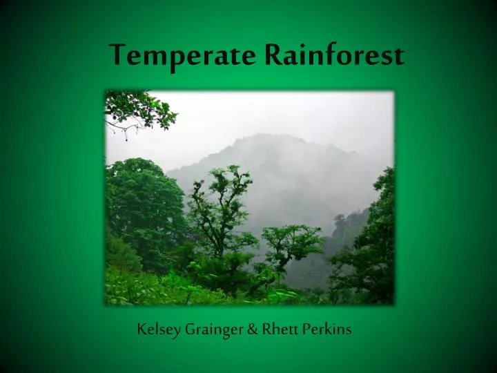 temperate rainforest