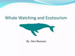 Whale Watching and Ecotourism