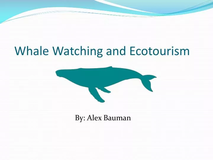 whale watching and ecotourism