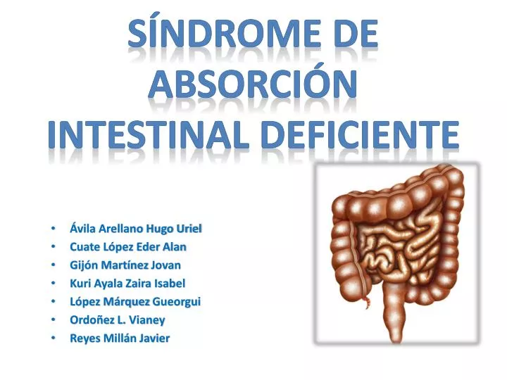 s ndrome de absorci n intestinal deficiente