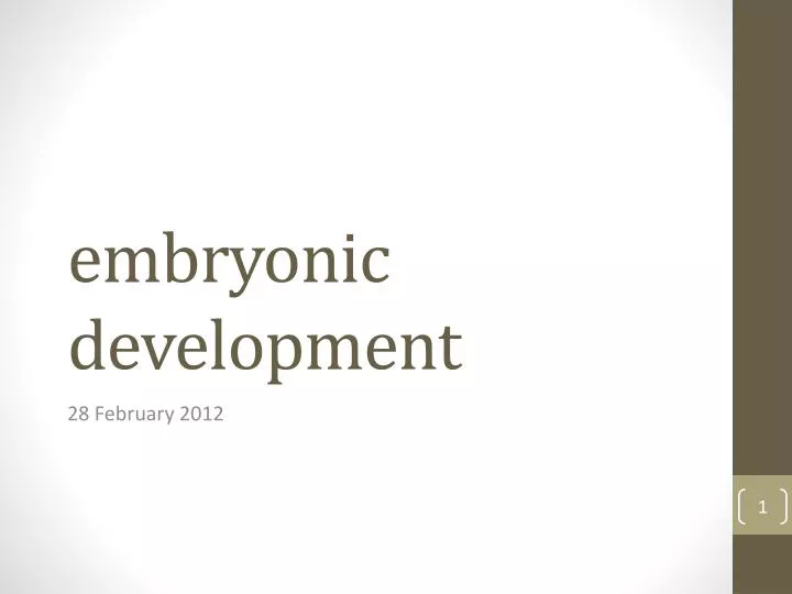 embryonic development