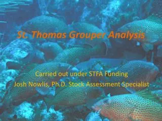 St. Thomas Grouper Analysis