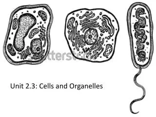 Unit 2.3: Cells and Organelles