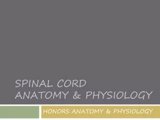 SPINAL CORD ANATOMY &amp; PHYSIOLOGY