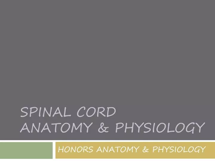 spinal cord anatomy physiology