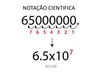 nota o cientifica