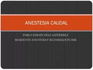 anestesia caudal