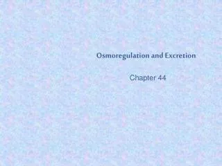 Osmoregulation and Excretion