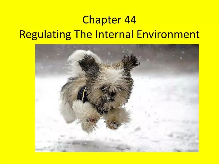 chapter 44 regulating the internal environment