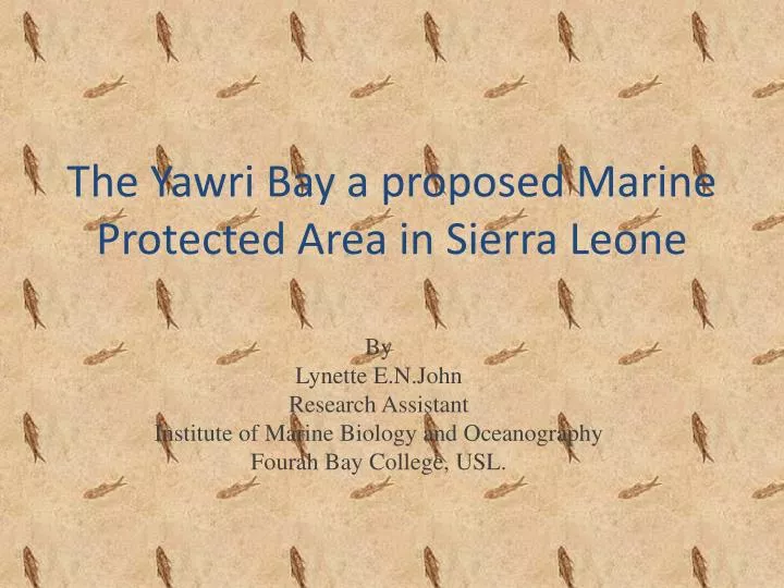 the yawri bay a proposed marine protected area in sierra leone