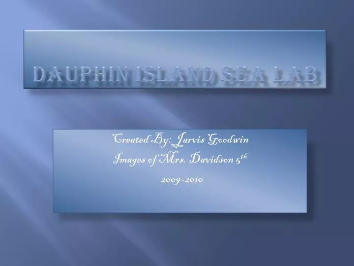 dauphin island sea lab