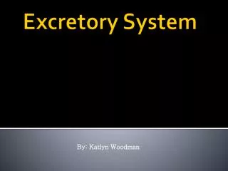 Excretory System