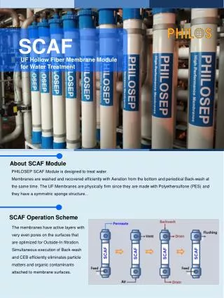 About SCAF Module