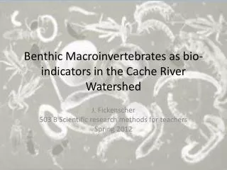 Benthic Macroinvertebrates as bio-indicators in the Cache River Watershed