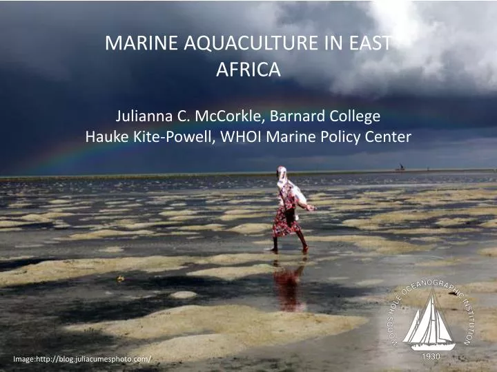 marine aquaculture in east africa