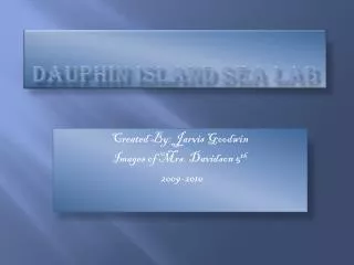 Dauphin island sea lab
