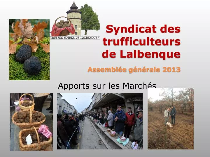 syndicat des trufficulteurs de lalbenque assembl e g n rale 2013